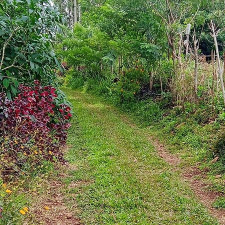 Farmer Homestay Yercaud Exterior photo
