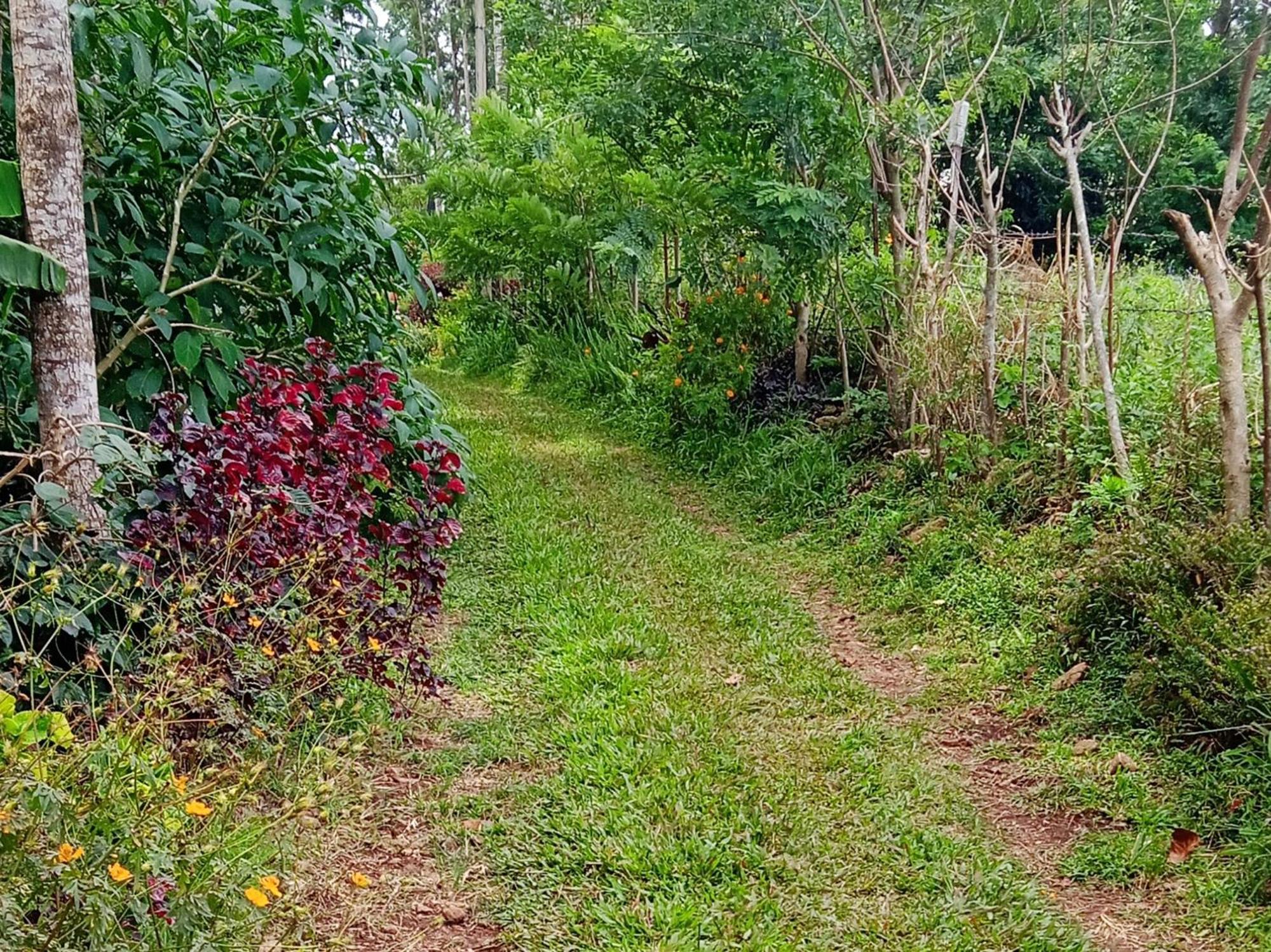 Farmer Homestay Yercaud Exterior photo